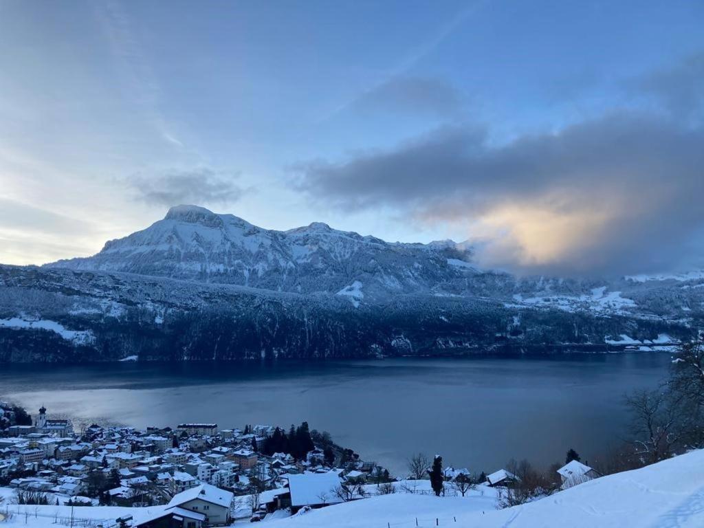 Ferienwohnungen Mit 4 Betten In Gersau Direkt Am Vierwaldstaettersee ภายนอก รูปภาพ