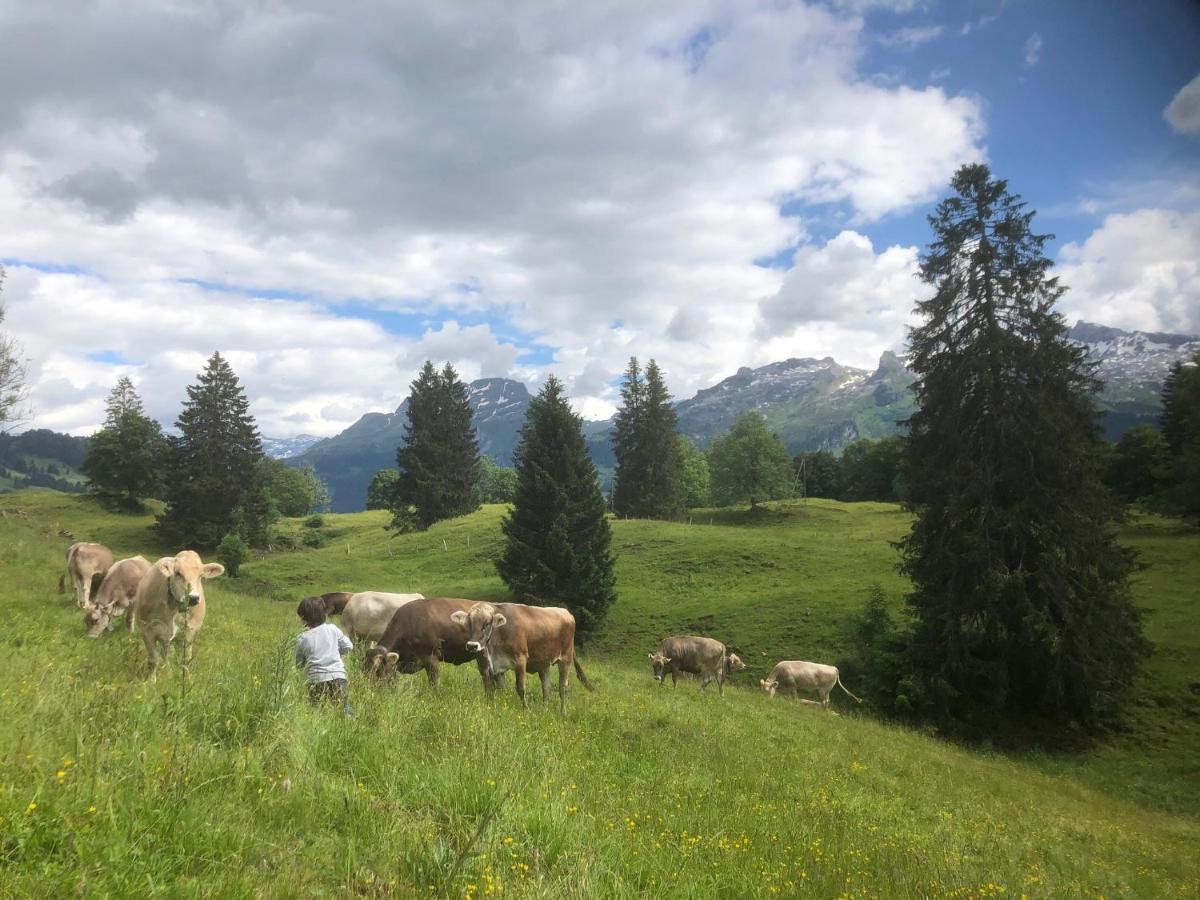 Ferienwohnungen Mit 4 Betten In Gersau Direkt Am Vierwaldstaettersee ภายนอก รูปภาพ