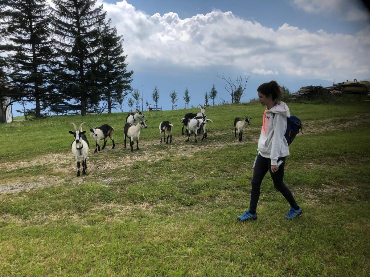 Ferienwohnungen Mit 4 Betten In Gersau Direkt Am Vierwaldstaettersee ภายนอก รูปภาพ